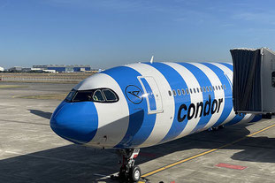 Condor Flugziele, Sitzplätze & Flugplan 2025/2026