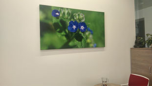 Leinwand 150x90cm