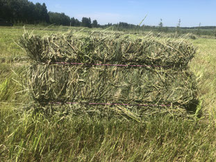 Hay From Our Farm