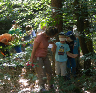 Schärft die Sinne: als Blinde Schlange durch den Wald 