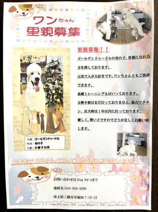 里親募集！ - Dog Nit'sへようこそ