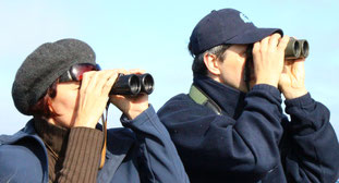 Vogelbeobachter (Foto: Bria Peter, LBV Bildarchiv)