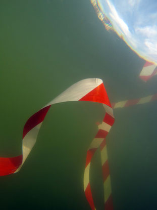 Les problématiques écologiques et les chantiers que la planète attend sont les serpents de mer de notre temps !