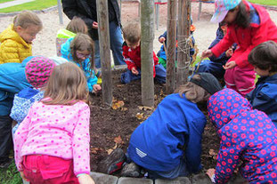 Kinder pflanzen Krokusse