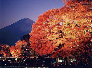 写真提供：富士河口湖町