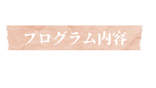 プログラム内容