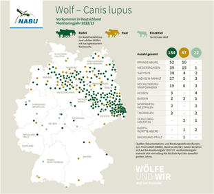 Wolf – Vorkommen in Deutschland, Monitoring 2022/23, Stand: 16.10.2023, Grafik-Quelle: NABU