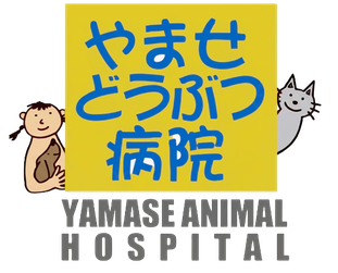 やませどうぶつ病院|愛知県丹羽郡大口町の動物病院