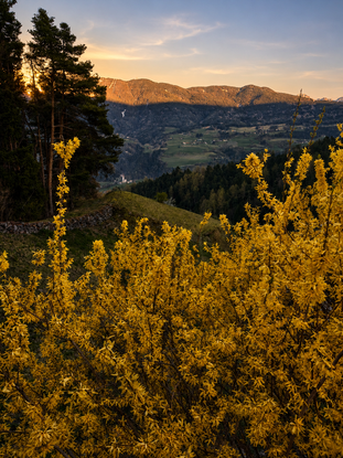 Brixen Pinzagen