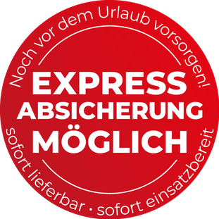 Expressabsicherung Sofortmontage Alarmanlage für Einbruchsopfer