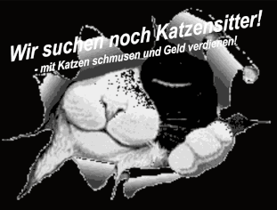 Tierbetreuung vor Ort in Koblenz, Katzenbetreuung, Katzensitter, auch für Lahnstein und Mühlheim-Kärlich