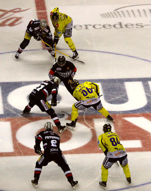 Foto: Stefan Wenske