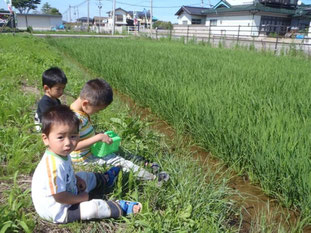 転勤で去った子達の過ごす様子。画像は昨年のもの