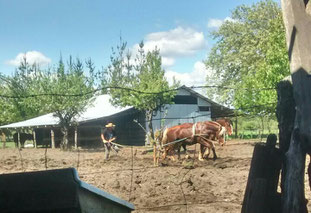 Campesino trabajando la tierra 