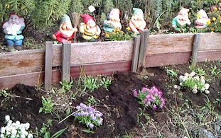 七人の小人たちも花苗植えに参加?