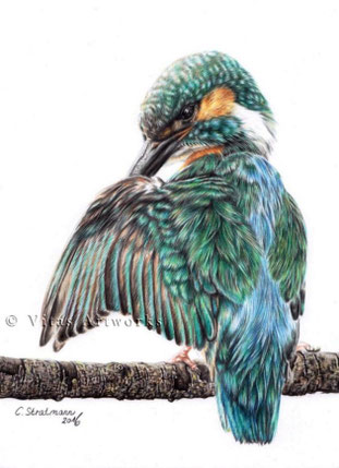 Eisvogel Kunstdruck für dein Zuhause 