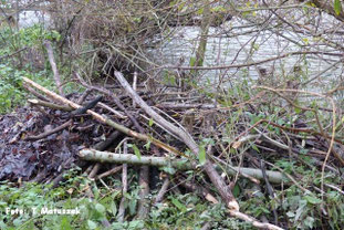 Zum Vergrößern Bild anklicken...