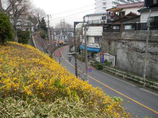 平塚神社に向かう坂道
