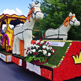 ©Blütenfest Wiesmoor