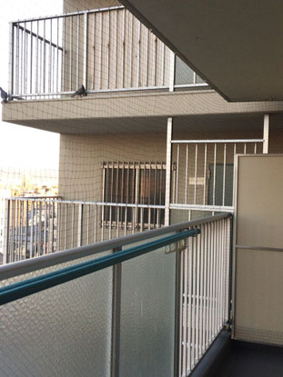 住み着いていた鳩が入れなくなり困っている