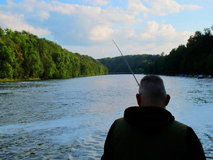 der Rhein hinter Schaffhausen schon ein kleiner Strom