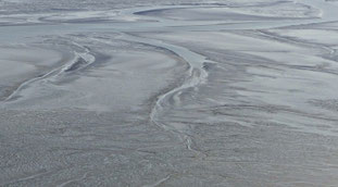 Wattenmeer