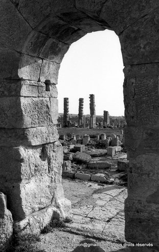 Sbeïtla (Sufetula) : Ruines de la Basilique de Servus (Vue prise depuis la Porte d'Antonin le Pieux)