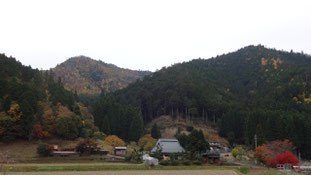道中ずっと、こんな風景の中をゆっくりと走っていきます。