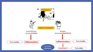 systemes immunitaires de la peau