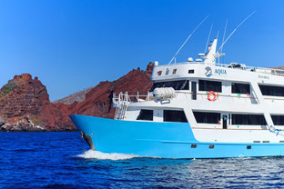 Galapagos Citizen Science Expedition Vessel Galapagos Shark Diving