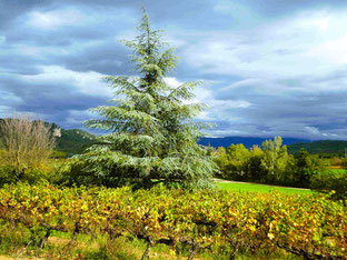 Le Grand Tour de Rognes à St Marcelin : 27/10/2024