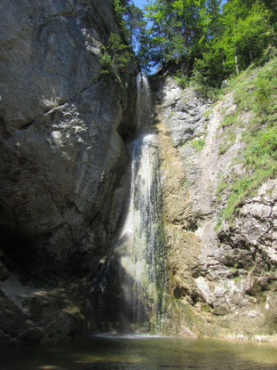 #Schusterbauer, #Koppl, #UrlaubamBauernhof, #Fuschlseeregion, #Schmitzberger, #Plötz, #Wasserfall, #Sommer