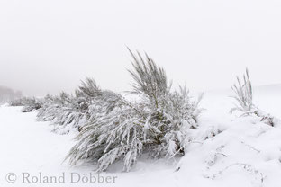 Winter im Sauerland