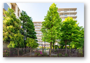 2025年5月3日撮影　コトー多摩川の外観写真