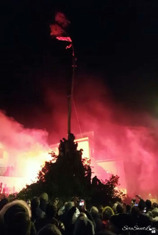 "Sant'Antoni de su Ocu" a lodè, 16 gennaio 2018