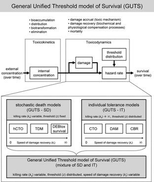 Schematic structure of the general unified threshold model of survival (GUTS), a toxicokinetic-toxicodynamic (TKTD) model