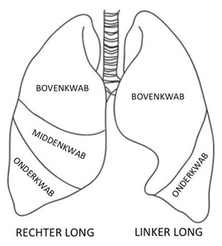 Behandeling met eenrichtingsventielen - De website van bronchoscopieumcg!