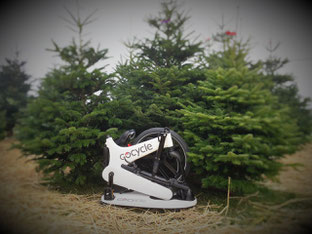 e-Bikes passen unter den Weihnachtsbaum