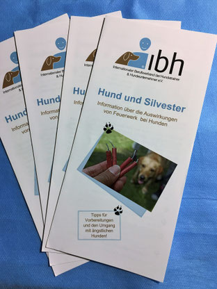 HundeLächeln, IBH-Flyer, Hund und Silvester