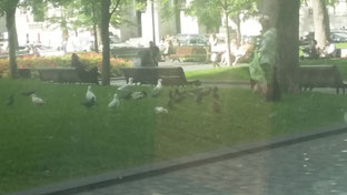 Picture of a woman feeding the birds