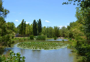 Picknicken valencia