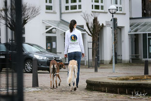 Frau mit ihren Windhunden in der Stadt unterwegs