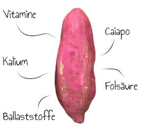 Süsskartoffel gesund gemüse Süsskartoffeln zubereitung lagerung haltbarkeit inhaltsstoffe