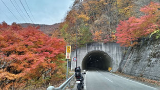 P-01:R361秋神トンネル前　紅葉美