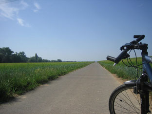Kurz hinter Pfaffen-Schwabenheim