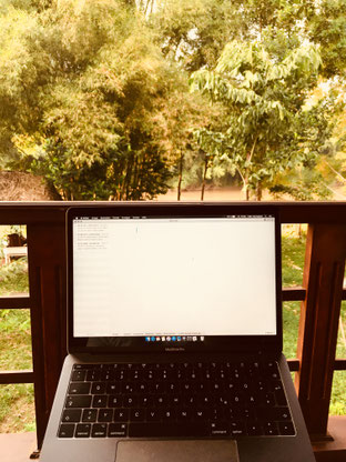 Mac Book Pro im Dschungel in Cat Tien Vietnam