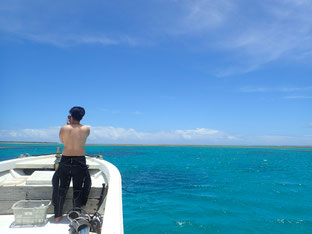 石垣島でのんびりダイビング「海は夏色」ヒートハートクラブ