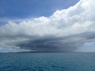 石垣島でのんびりダイビング「石垣島ゲリラ豪雨」ヒートハートクラブ