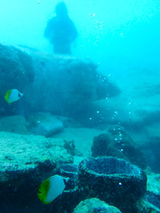 竹富島海底スパ｜ヒートハートクラブ石垣島
