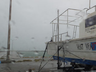 石垣島でのんびりダイビング「台風6号」ヒートハートクラブ